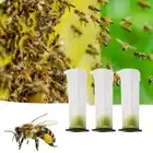 20Pcs Mini Beekeeping Rearing Cup Kit Queen Bee Cages Bee Cell Protective Cover