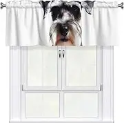 LHBWCVN Well-Behaved Schnauzer Valances for Windows, Rod Pocket Window Treatment Drapes Farmhouse Kitchen Curtains Short Blackout Window Curtains for Living Room Bedroom Decor 54x18 Inch