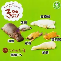 在飛比找蝦皮購物優惠-叉叉日貨 休眠動物園2代睡覺趴姿北極熊虎斑貓羊駝巴哥企鵝河馬