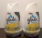 2 Pk Glade Solid Air Freshener Deodorizer | Home Bathroom, Lemon Fresh 6 Oz. New