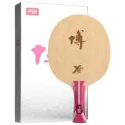 DHS B2X Ping Pong Table Tennis Blade Racket 5+2 Ply Arylate-Carbon Fiber Blade