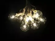 25 Foot Globe Patio String Lights - Set of 25 G50 Cle