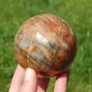 3.1in 1.5lb XL Colorful Petrified Wood Crystal Sphere, Madagascar