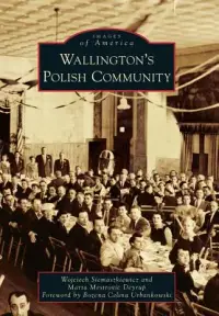 在飛比找博客來優惠-Wallington’s Polish Community