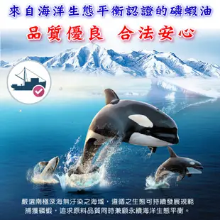 【好朋友】Krill Oil南極磷蝦油新一代劑型無腥味軟膠囊60顆/盒(四項國際認證) (6.7折)