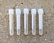 Lot of 50 ~ 4ml 3.5" Twist Cap Clear Plastic Tubes Cryo Specimen / Seed Storage