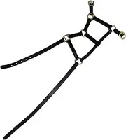 Hy Leather Foal Head Collar (UK Size: Small) (Black)