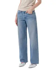 Agolde Low Rise Baggy Jeans in Vault