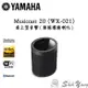 YAMAHA 山葉 MusicCast 20 (WX-021) 無線藍芽喇叭 WIFI/藍芽串流 公司貨 保固一年