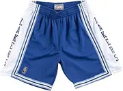 Mitchell & Ness Los Angeles Lakers Alternate 1996-97 Men's Swingman Shorts