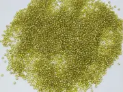 Vintage Transparent Chartreuse Green Gold TOHO Glass Seed Beads 15/0 Japan