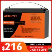 12V 100Ah LiFePO4 Lithium Iron Phosphate Battery BMS Solar Boat Marine