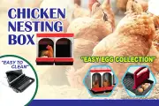 Poultry Chicken Nesting Box 2 Hole Chicken Coop Roll Away Lay Egg Box Arched Red