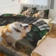 GHBNK Quilt Set 3-Piece - Ultra-Soft Thickened Bedding Set, Dog Corgi Bedspread + 2 Pillowcases, Lightweight Double-Sided Quilt Cover for Home/Hotel/Gifts 102"x90"