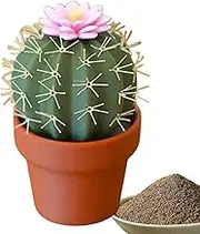 Salt and Pepper Shaker - Condiment Shakers, 4.72 Inches Salt-Pepper Dispenser - Compact & Leak-Proof ABS Cactus Shape Dispenser Jars Set for Wide use for Dining Table Setting, Gourmet Cooking