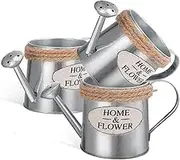 BIUDECO Metal Decorative Watering Can Iron Flower Pot Mini Vase for Dried Flowers Rustic Home Decor
