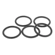 Raceworks E85 Safe O-Rings AN-16 5PK - RWF-178-16