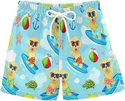 [RPLIFE] Swimming Trunks for Kids, Anti Chafe Swim Trunks Boys 2 T, Cute Golden Puppies