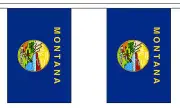 MONTANA U.S. STATE BUNTING 9 metres 30 flags Polyester flag