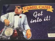 Camel Cash Sticker Back Counter Too Advertising Sign