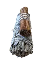 Smudge Stick White Sage & Cinnamon Prosperity and Abundance