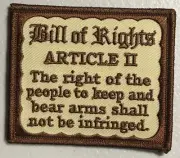 Bill of Rights 2nd Amendment Right To Bear Arms patch