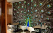 3D Peacock Feather 28443NA Wallpaper Wall Murals Removable Wallpaper Fay