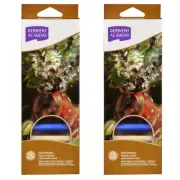 2x 12pc Derwent Academy Soft Pastels Crayon Colouring/Painting Assorted Colour