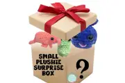 Small Plushie Surprise Box