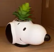 Peanuts Snoopy Face Ceramic Mini Planter with Artificial Succulent LARGE NEW