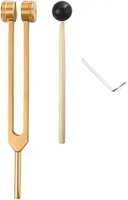 L69A 256 Hz Tuning Fork Medical-Healing Instrument with Hammer A Repair Tool Human Biofield Diapa Son(Gold) Easy Install Easy to Use