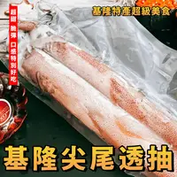 在飛比找樂天市場購物網優惠-【天天來海鮮】基隆特產超級美食頭批尖尾透抽 （每尾150/2