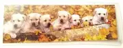 Dog Bookmark Labrador Retrievers Puppies Planet Zoo Cute Gift New 7 Precious Pup