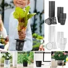 Tools Net Cup Mesh Pot Net Cup Plastic Sponges 38.5mm 40Pcs 50mm Basket