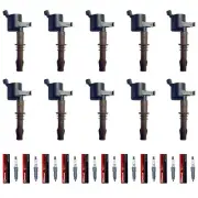 Set of 10 Motorcraft SP509 Spark Plugs + 10 DG521 Brown Boot Ignition Coils