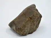 180.1g Winonaite Primitive Achondrite Meteorite - TOP METEORITE