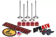 YFZ450R YFZ 450R Stock Replacement Kibblewhite Intake Exhaust Valves RED Seals