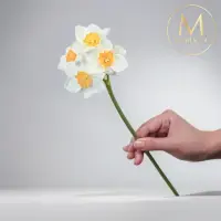 在飛比找momo購物網優惠-【Floral M】浪漫限定冬季白色西洋水仙花仿真花花材 （