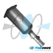 FAP DPF Peugeot, Citroen, OE: 174013, 174019, 1731FP, 1731AJ