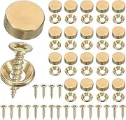 uxcell Brass Decorative Screws with Caps, Mirror Screw Self Tapping Screws Decorative Cover - Fitting for(Furniture Fixing- Wall Hangings - Wood Handcrafted) 12mm & 20 Pack & Yellow