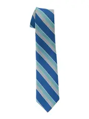 Snr WCC Striped Tie