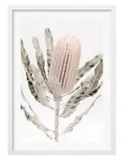 [Profile Australia] Australian Made Banksia Flower Art Print A1 in White Frame