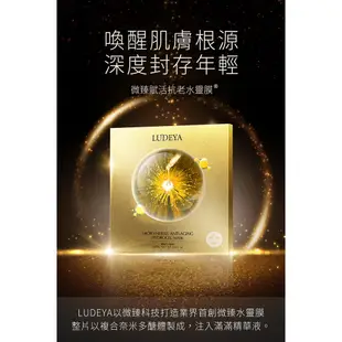 Ludeya微臻賦抗老水靈膜微針抗衰老水凝膠面膜(3片/盒)