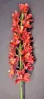 Artificial Cymbidium Orchid stem ORANGE RUST