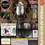 【盧卡斯偷椅子】現貨 正版 BANDAI PREMIUM 萬代 生物大圖鑑進擊 寶石金龜與彩虹鍬形蟲 扭蛋 轉蛋