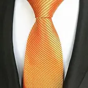 Men wear Formal Ties fine Ties Golden Ties Graduation Ties.