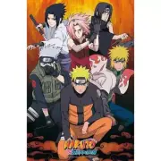 Naruto Shippuden Group Maxi Poster