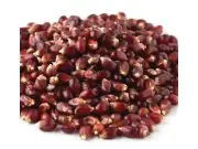 Red Bulk Popcorn 10 Pounds Popcorn Kernels Free Shipping