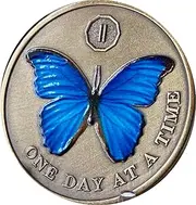 2 Year Blue Butterfly Medallion One Day at A Time Sobriety Chip