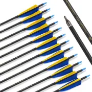 Archery 30" Carbon Arrows Turkey Feather Compound Recurve Bow Hunting Shooting